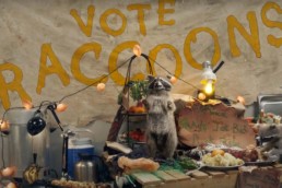 Geico Commercial: Raccoons